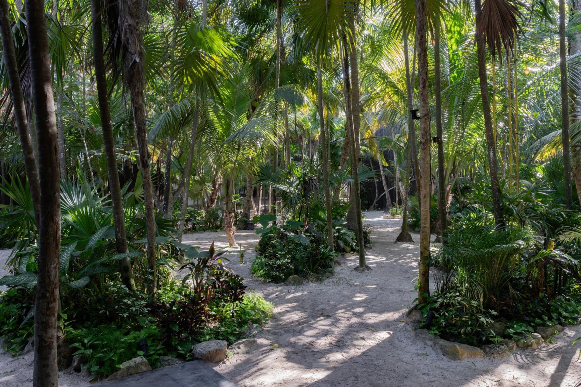 Hotel Umi Tulum Exterior foto